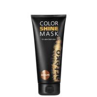 Artego Color Shine Mask Chocolate - Artego маска для тонирования в оттенке "Шоколад"
